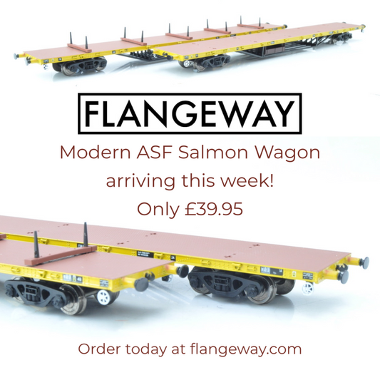 Modern ASF Bogie Salmon Wagon Arrived Next Week!